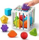 WireScorts Shape Sorter Baby Toys 12-18 Months, Montessori Learning, Developmental Toys, Storage Cube Bin & 6 Sensory Shape Blocks, Birthday Gifts Toddler Boy Girl Age 1 2 3（6 Pieces）