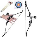 ZSHJGJR Archery Mini Bow Set Recurve Bow Hunting Bow Compound Bow Triangle Bow Catapult Right/Left Hand for Hunting Shooting Practice Archery Entertainment Fun (Mini Recurve Bow (Type 3))