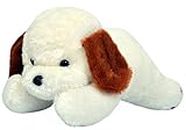 Richy Toys White Dog Cute Plush Soft Toys for Kids Birthday Gift 26 cm