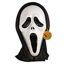 Sage Square Ghost Comic FACE MASK Fawkes Mask Anonymous Edition Face-Mask Perfect Fit Cosplay Holi Halloween Function Party (Pack of 1)