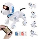Remote Control Robot Dog Toy, Interactive RC Dog Robot Toys for Kids, Programmable Smart and Dancing Robot Toy, Imitates Animals Mini Pet Dog Robot with Sound and LED Eyes (Blue)
