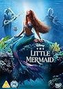 Disney's The Little Mermaid (Live Action 2023) [DVD]