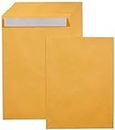 Amazon Basics Catalog Mailing Envelopes, Peel & Seal, 9x12 Inch, Brown Kraft, 100-Pack - AMZP13