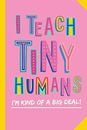 I Teach Tiny Humans - I'm Kind of a Big Deal: Notebook (A5) Great for Presch...