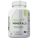 Trace Minerals + 60 Capsules - Aquamin Trace Minerals a 70+ Nutrient-Dense Multimineral Complex Sourced from Marine Plant - UK Made