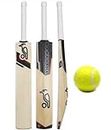 JRS Super 002 Wooden Cricket Bat with Ball for Kids Size 1 Pack of 1 (Multi-Color) 4-5 Years Boys