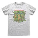 Teenage Mutant Ninja Turtles T-Shirt  Meliert Grau Unisex Retro Turtle