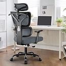 DoChair Bürostuhl Stretch Mesh Rückenlehne ergonomisch Schreibtischstuhl Verstellbarer Kopfstütze und Höhe Gaming Stuhl mit Aufhänger, Dunkelgrau