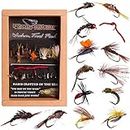 RoxStar Fly Fishing Shop | Proudly Hand Tied in The USA | Western Trout Fly Assortment | Top 24 Producing Trout Flies for The West | Gift Box Included | (24 Pack)