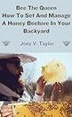 How to set up and manage a honey beehive in Your backyard