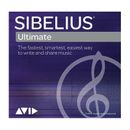 Avid Sibelius | Ultimate Network Perpetual Multi-Seat Site License New Seat (Edu 1003874000