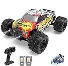DEERC RC Cars High Speed Remote Control Car for Adults Kids 30+MPH, 1:18 Scales 4WD Off Road RC Monster Truck,Fast 2.4GHz All Terrains Toy Trucks Gifts for Boys,2 Batteries for 40Min Play