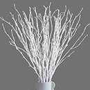 50Pcs Real Dried White Birch Twigs Branches - 15"-17" Natural Painted Birch for Wedding, Vases Filler, Sticks for Centerpiece, Floral Arrangement, Twig Wreath, Rustic Decor