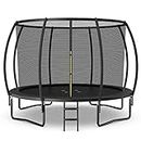 Giantex 8FT Trampoline with Enclosure, ASTM Approved Outdoor Large Trampoline with Ladder, Rustproof Galvanized Steel Frame, Recreational Trampolines for Kids and Adults, Black