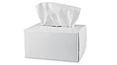 Pyramex Safety Products LT300 Lens Cleaning Tissues, Package of 300 White