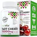 PlantVital Organic Tart Cherry Capsules -10,000mg Per Day -10:1 Cherry Extract - Montmorency Tart Cherry Supplement for Antioxidants - Made in Canada - 2 Months Supply -120 Capsules (120 Count (Pack of 1))
