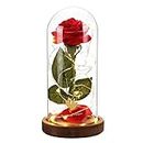 Mother's Day Flowers Gifts for Women,Beauty and The Beast Rose Artificial Flower Lasts Forever in a Glass Dome,Unique Romantic Gifts for Mum's Wife's Grandma on Birthday Mothers Day Anniversary