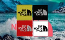 Patch ricamata Toppa The North Face abbigliamento sportivo moda