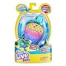 Little Live Pets Lil' Turtle Shell Sea (Single Packaging): Interactive, Colourful Toy Turtle with Great Tank Design Floats in The Water and Runs on Land Like a Real Turtle