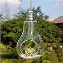 DDSS Model DN-93 Hanging/Table Top Light Bulb Glass Terrarium,air Plant Bulb Planter for Garden Decor Home/Office H.28CM x Dia. 14cm- Bulb Shape