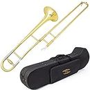 Glory GTD-2 B Flat Brass Trombone with Case & 12C Mouthpiece,Gold Finished,Tenor Trombone
