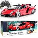 Amitasha Remote Control High Speed Racing Car for Kids Boys 6-15 Years RC Stunt (Multi Color)