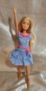 Juego de camión y muñeca de granja Sweet Orchard GFF52 muñeca Barbie solamente (revestida)
