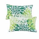 JMKaixin Outdoor Lumbar Pillows Waterproof Set of 2 Decorative Pillows with Inserts 12×20 Inch Outdoor Pillow for Patio Furniture (Green)