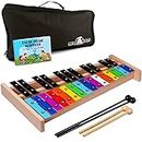 MINIARTIS Glockenspiel Xylophone | Full Size Glockenspiel Xylophone 27 Note Colorful Metal Keys for Adults & Kids | Percussion Musical Instrument Includes 2 Wooden Beaters, Songbook and Carry Case