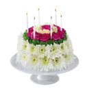 Send Flowers - Birthday Cake Flowers