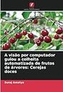 A visão por computador guiou a colheita automatizada de frutos de árvores: Cerejas doces