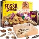 Real Fossil Dig Kit for Kids - Mega Science Kits for Boys & Girls Age 8-12 - Birthday Gift Ideas for 8, 9, 10, 11, 12 Year Old Boy or Girl - Fossils Digging Top STEM Toys for Ages 8-13