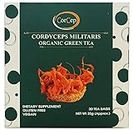 Cordyceps Militaris Infused with Organic Green Tea Blend: Energize Your Body and Mind Naturally (20 tea bags)
