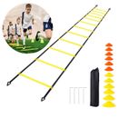 6M Speed Agility Ladder Fitness Training Soccer Sports Footwork Practise Gym