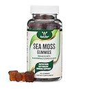 Double Wood Supplements Sea Moss Gummies for Adults Max Strength 3,000mg (60 Irish Sea Moss Gel Gummies Enhanced with Bladderwrack and Burdock Root) Superfood Gummies for Immune Support by