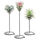 VILLCASE Air Plant Holder, Airplants Rack Metal Plants Stand, Air Plant Container Tillandsia Holder, Geometric Tabletop Decor for Displaying Small Air Plant, 3pcs