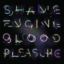 Health & Beauty Shame Engine/blood Pleasure (Vinyl) 12" Album