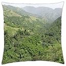 how green was my valley - Throw Pillow Cover Case (18