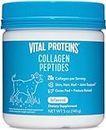 Vital Proteins Collagen Peptides Powder Travel Size Pasture Raised, Grass Fed, Paleo Friendly, Gluten Free, (Pack of 5oz)