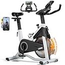 Labgrey Magnetic Exercise Bike Smart Apps Resistance Indoor Cycling Bike Stationary Cycle Bike with Heart Rate Sensor Comfortable Seat Cushion Quiet Fitness Bike for Home Training Cardio Workout