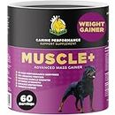 ProDog Muscle+ Dog Weight Gainer | 76% Protein Per Scoop - 60 Servings | Must Have For Dogs Struggling To Gain Weight | Aids Injury Recovery | Perfect for Fussy Eaters, Underweight, Malnourished Dogs