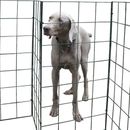 Recinzione pieghevole per cani di Flexipanel barriera recinzione cancello run giardino alta 1 metro