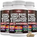 NEW AGE Lions Mane 3000mg 20in1 Mushroom Supplement with Turkey Tail 2000mg Reishi 1000mg Cordyceps Chaga 1000mg with Marshmallow Root 180 Count