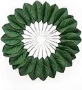 Namzi Artificial Green Magnolia Leaves Pack of 30 for Wedding Decor, Home Decor, Indoor Decor, Book Decorative, Bookmark, Fake Leaves Decor, Magnolia Wreath, Artificial Plants