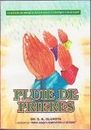 Pluie De Prieres (French version of Prayer Rain)