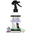 The Healthy Dog Co - Dog Perfume Spray - Lavender & Chamomile Dog Spray for Smelly Dogs - Lovely Smelling Dog Deodorant for Smelly Dogs - Dog Cologne suitable as Puppy Spray - 250ml