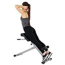 Sunny Health & Fitness 45-Degree Hyperextension Roman Chair with Adjustable Height and Back, Glute, Hamstring, and Ab Workouts Foldable Sit Up Gym Bench for Home, Gray - SF-BH6629