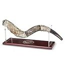 Shofar Zion BEAUTIFUL SILVER YEMENITE SHOFAR WITH STAND | Natural Kudu Horn | Kosher and Odorless | Made in Israel | Smooth Mouthpiece for Easy Blowing | Carry on Bag Included | 24”-28” (Shofar-Yem)