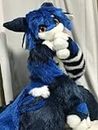FurryWu Studio Japan Kemono Kawaii Royal Blue Cat Dog Fox Fursuit Teen Costumes Child Full Furry Suit Fursona Kigurumi Digitigrade Anime Custom Note pls