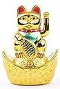 AMAQUE Plastic Golden Feng Shui Cat With Hand-Beckoning For Office Shop Good Luck Positivity (Small)